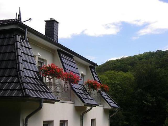 Weisses-Haus-Am-Kurpark-Fewo-Waldblick Quedlinburg Exteriör bild